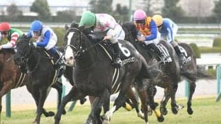 【京都金杯 調教後馬体重】マテンロウオリオンは492kg、オニャンコポンは476kg