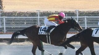 【2022年JRA珍リーディング発表！(2)】新聞を読める馬!? 気まぐれモディカの2023年に注目！