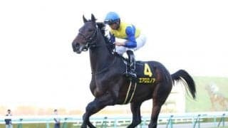 【京都金杯予想】強調材料は3点！ AIとも一致したエアロロノアを評価できるポイント