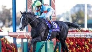 有馬Vのイクイノックスは5番人気！ 英ブックメーカーが早くも凱旋門賞のオッズを発表 