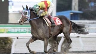 【高知・初夢特別】ダノンロイヤル準重賞初制覇/畑中「思い通りのレース」