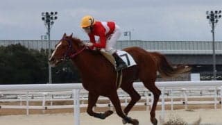 【名古屋けいば】細川智史騎手が地方通算100勝「ここからがスタートライン」