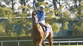  【競馬ファンが選ぶ最優秀スプリンター】1位はGI馬2頭の接戦に/netkeiba大賞 中間発表