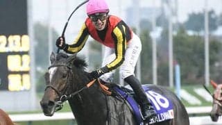 【競馬ファンが選ぶ最優秀4歳以上牝馬】1位は昨年大活躍のジェラルディーナ/netkeiba大賞 中間発表