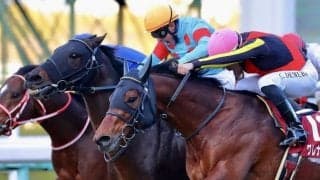 ダイアトニックが競走馬登録抹消