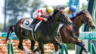 昨年の中京リーディング・中内田厩舎 開幕日に良血2頭がスタンバイ