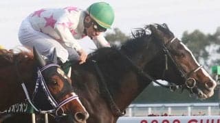 【京都金杯】マテンロウオリオンは5枠10番へ