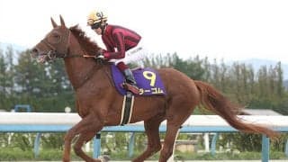 【中山金杯】7年ぶりの“快挙”なるか　ラーゴムが挑む“高い壁”とは？