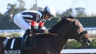 中山芝はダンジグ系を狙え！ 開幕日は金杯のカレンルシェルブルなど7頭がエントリー