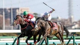 【今日の注目ポイント】2023年の中央競馬が開幕 中山と中京で東西金杯