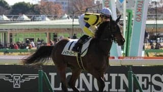 【中京1R】安田隆行厩舎 ノイアータークで2年連続5回目“西の一番星”狙う