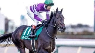 【京都金杯予想】中京で行われた過去2年では穴馬が激走 今年も波乱はあるか