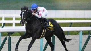 【中山金杯予想】今年最初の重賞レース ポイントは「一瞬の脚」よりも「長く良い脚」