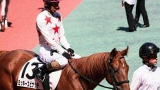 【中京2R】父ミッキーアイル×母父デピュティミニスター系なら砂でこそ！ ミッキースピナッチが一変だ