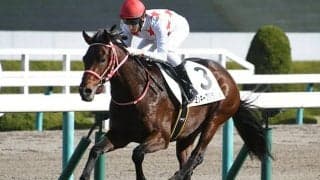 【京都金杯】連対率100％の“十八番ローテ”ミッキーブリランテが高配提供！