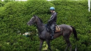 産駒で母子5代オープンVなるか 20年函館2歳S覇者リンゴアメの産駒に見る夢