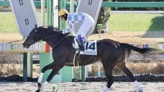 【中山1R】武豊騎乗 シュバルツガイストが2023年オープニングレースを飾る