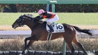 【新馬/中山3R】カレンブラックヒル産駒 フェブルウスがデビューV