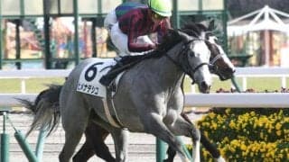 【中京5R新馬戦結果】シルバーステート産駒ヒメナデシコが差し切って快勝