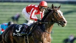 【中山金杯・馬体重】ラーグルフは500kg(+8)、マテンロウレオは478kg(+2)