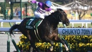 【京都金杯結果】イルーシヴパンサーがイン強襲を決め重賞2勝目