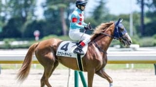 【フェアリーS出走馬・騎手確定】エナジーチャイム＆C.ルメール騎手、ヒップホップソウル＆松山弘平騎手など16頭