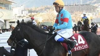 重賞5勝のダイアトニックが競走馬登録抹消 今後はオーストラリアで種牡馬に