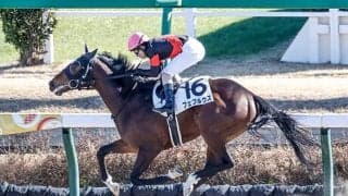 単勝7番人気Vで高配当演出 2023年最初の新馬戦