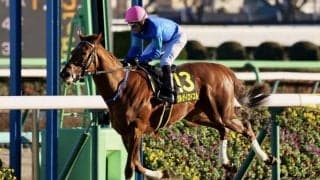 【ジュニアC】クルゼイロドスルが4馬身差圧勝