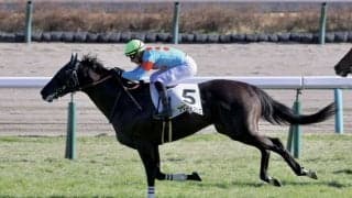 【中山6R】バシュロ騎乗 アヴニールドブリエがV