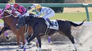 【中山1R】武豊「気分が違う」シュバルツガイストが2023年オープニングレースを飾る