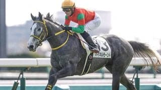 1月5日の競走中止、出来事の一覧 マイネルモーント出走取消など/中山・中京