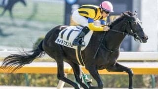 【シンザン記念見どころ】ディープ最終世代ライトクオンタムが鞍上武豊騎手で参戦