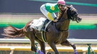 【シンザン記念展望】今年は少頭数の一戦、あの馬の巻き返しを期待したい