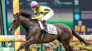 【フェアリーS展望】波乱必至の3歳牝馬戦、近年の好走傾向とは