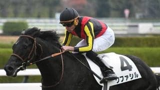 【シンザン記念】厩舎と血統に勢いあり！ 池添学厩舎＆祖母エアグルーヴのクファシルに注目だ