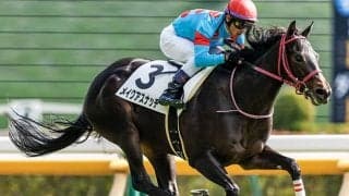 【フェアリーS】2戦2勝のメイクアスナッチに逆風データ!? カギは初のマイル戦