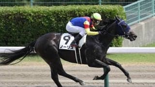 【初春S】大型のアジアエクスプレス産駒は信頼度◎ ノーリスで決まりっす！