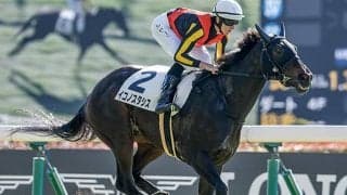 【フェアリーS】血のジンクスに挑むイコノスタシス…父母ともにロベルト系の馬がJRA重賞Vなら史上初！