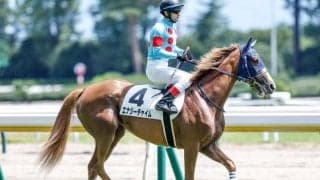 【フェアリーS予想オッズ】エナジーチャイムが予想1番人気