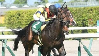 【日経新春杯想定】ヴェルトライゼンデやヤマニンゼストなど15頭