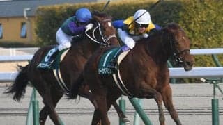 【愛知杯想定】ルビーカサブランカやマリアエレーナなど14頭