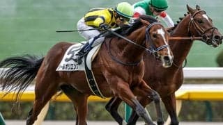 【京成杯想定】ソールオリエンスやグラニットなど9頭