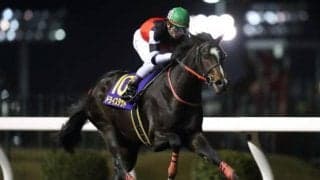 【今日の注目ポイント】3日間開催初日 すばるSでドライスタウトの連勝なるか