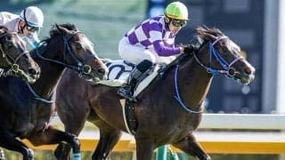 中山芝は引き続きダンジグ系に警戒！ 3日間開催に高配メーカーがズラリ!?