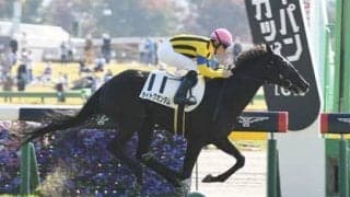 シンザン記念で注目の良血２頭。本命はディープインパクト産駒「最後の世代」