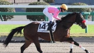 【日曜中山3R】前走12着に明確な敗因あり！ フィールザダイヤの巻き返しだ