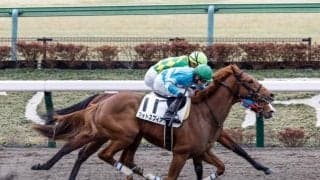 【日曜中山8R】前走は直線でドン詰まり…フォトスフィアが悔しさ晴らす！