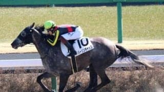 【日曜中山7R】待ちに待った圧勝舞台 バーリンギャップが本領発揮だ！