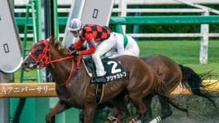 【ポルックスS】中山なら信頼度はUP！ アシャカトブで好配狙い